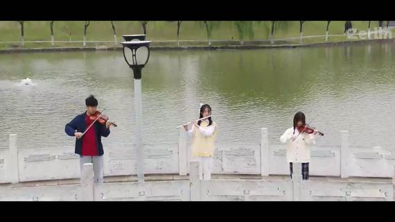 音乐节