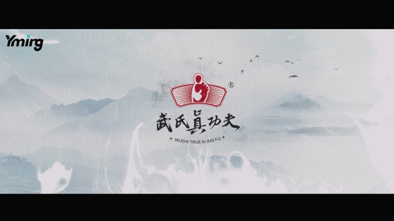 《武氏真功夫》养生大健康品牌宣传片