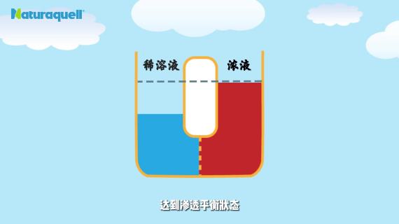 MG动画反渗透原理讲解