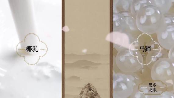 飞行船 思乡龙眼 产品宣传