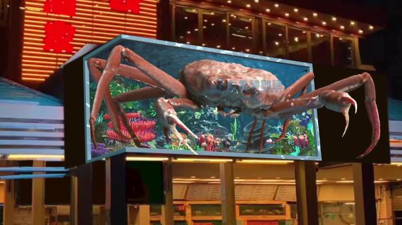 帝王蟹裸眼3D直角屏