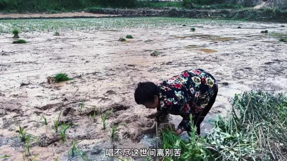 人间烟火