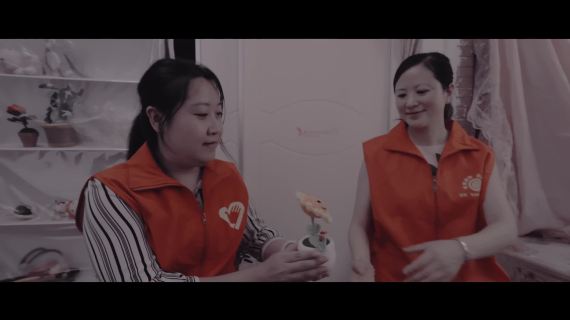 红细胞工程十周年