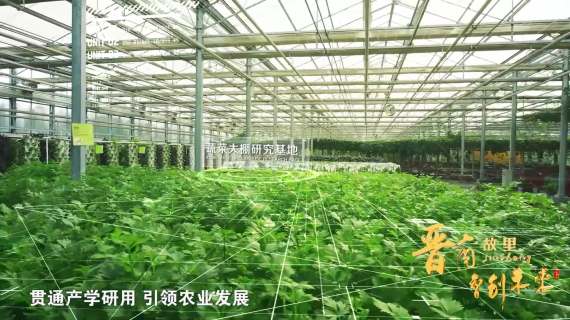 山西晋中市招商片  城市形象宣传 招商片