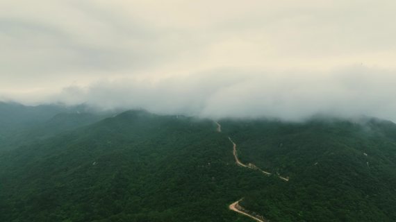 风车 风力发电 航拍 云雾环绕 绿色 山