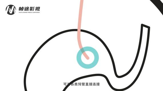 MG动画案例 卫仕宠物营养液