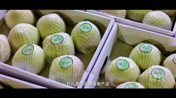 企业宣传片