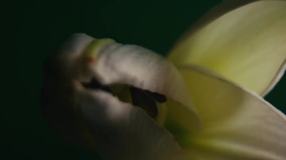 水泥丛林