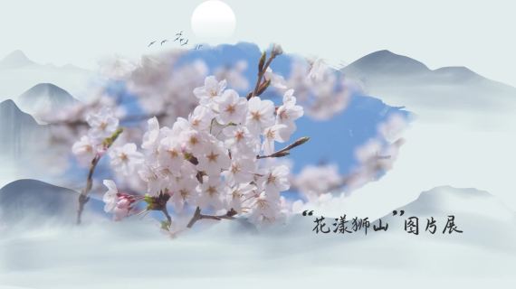 活动发布类视频