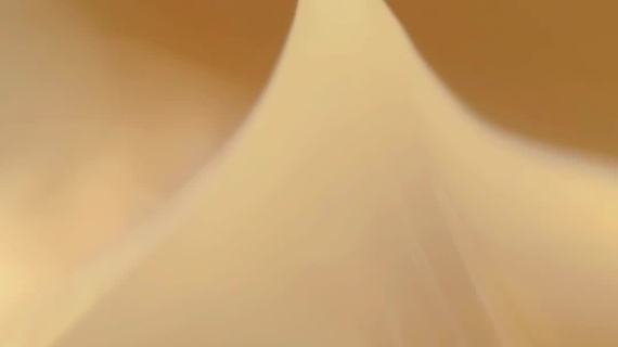 欧莱雅产品拍摄