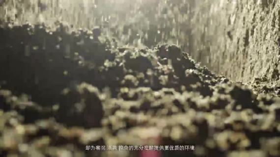 伊力特生态小窖酒广告