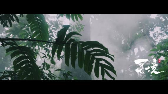 灵境MG_