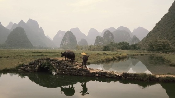 《网络上的舌尖》