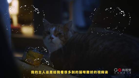 喵星人是如何征服人类的？《人类驯服指南》