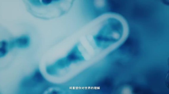 同济大学｜成就不凡人生