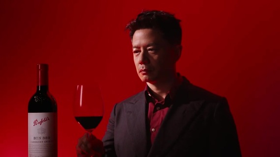 奔富红酒✖️段奕宏