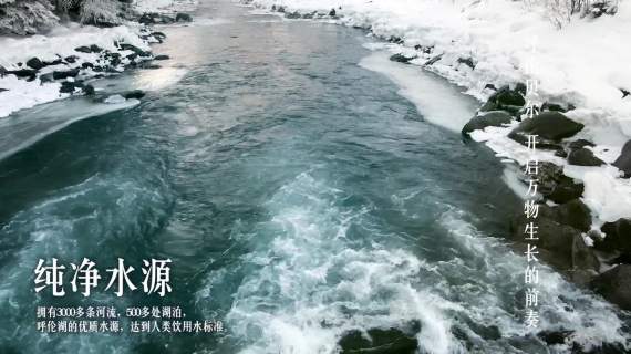 金典惊蛰特辑