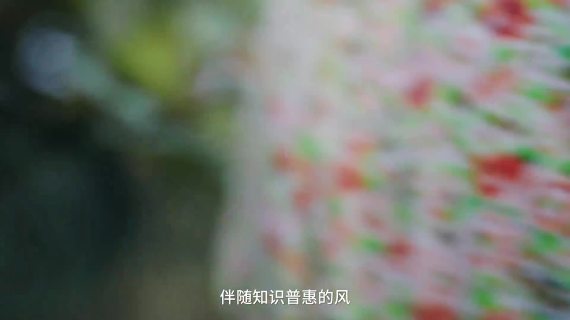抖音电商I24 年丰收节｜热潮迎丰起