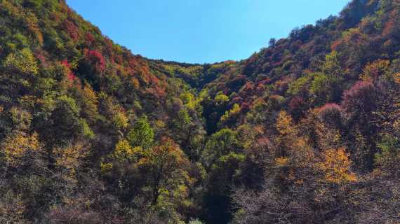 万花秋景