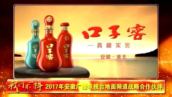 2017年安徽电视台战略合作伙伴