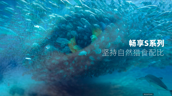 宠物产品猫粮狗粮森林造景主图视频