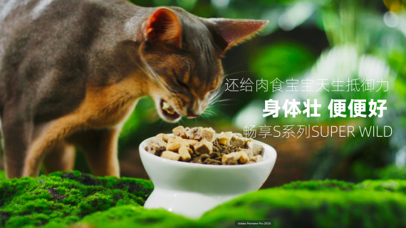 宠物产品猫粮狗粮森林造景主图视频