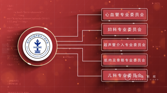 AE分支图—超声学会