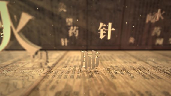 中国文化AE模板，中医片头