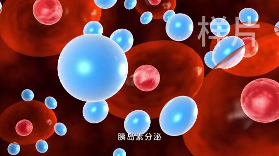 枸杞珍酒业宣传片