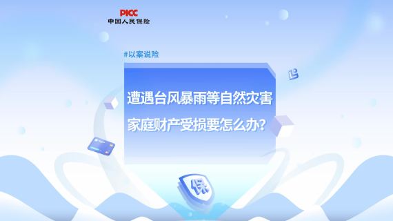 海南人保家财险产品MG动画