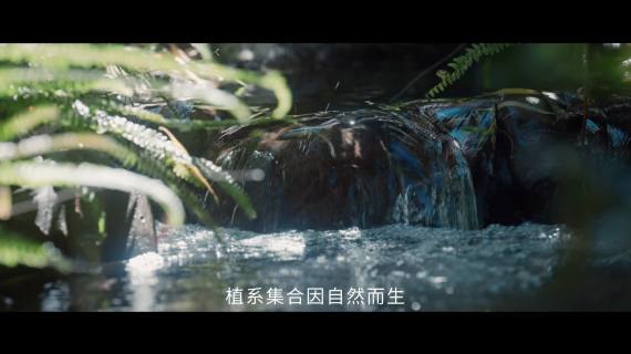 牙膏tvc
