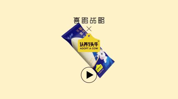 认养一头牛：聚焦鲜牛乳，重塑行业格局