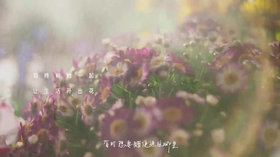 招联：今年春节，我们给蛇皮袋做了次推广