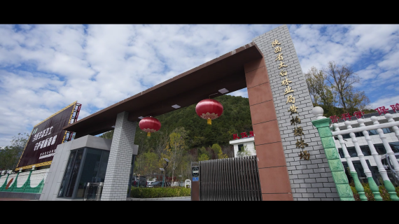 陕西省太白林业局林场标准化