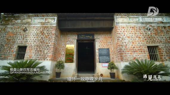 莲花文旅推荐片