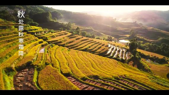 vivo：用影像定格二十四节气之美