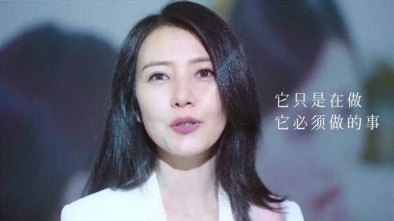 觅光品牌态度片《这本是一条华丽的广告》
