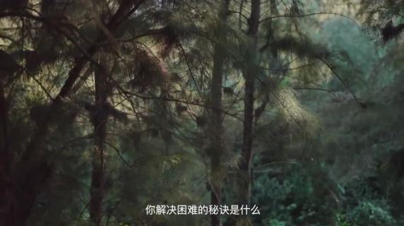 likeuu 2周年：当遇见小时候的自己