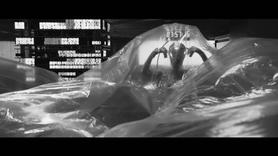 NOOOF对错研究室：生而伟大，没有对错