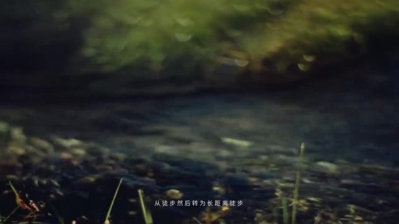 始祖鸟：在茶马古道寻访少数民族文化
