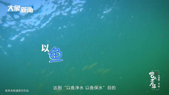 岂止青绿-甘甜