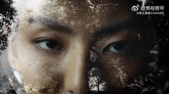 霸王茶姬亚洲象救助行动：人与自然和谐共生