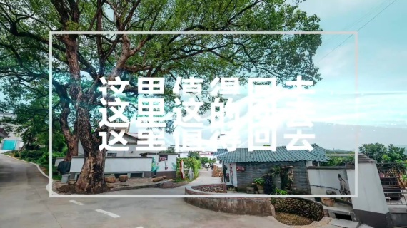 农村宣传片