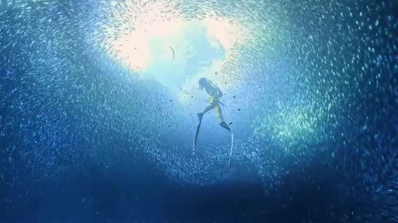 GoPro年度视频，看完肾上腺素狂飙！