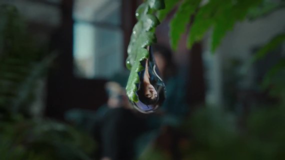 Pura香氛：把大自然搬进房间