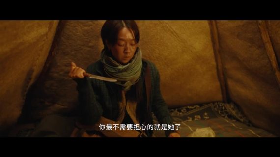 爱奇艺《我的阿勒泰》文企政合作生态
