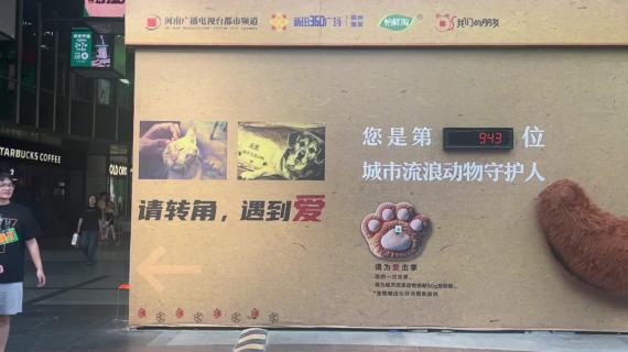 一次击掌，为流浪动物助力50g公益粮