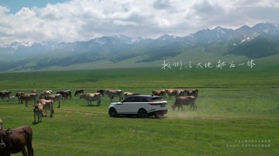 路虎揽胜×马伊琍：重游夏日北疆