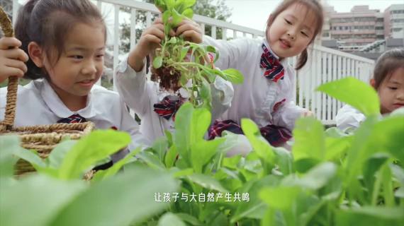 山高幼儿园宣传片