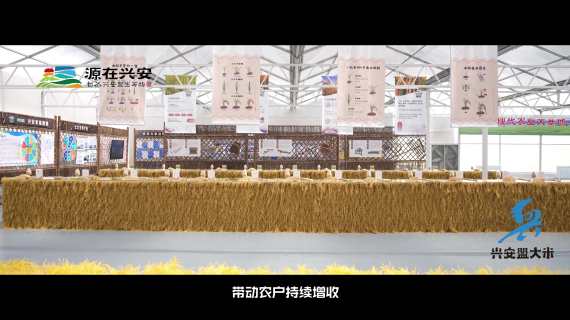 兴安盟大米宣传片5月7日